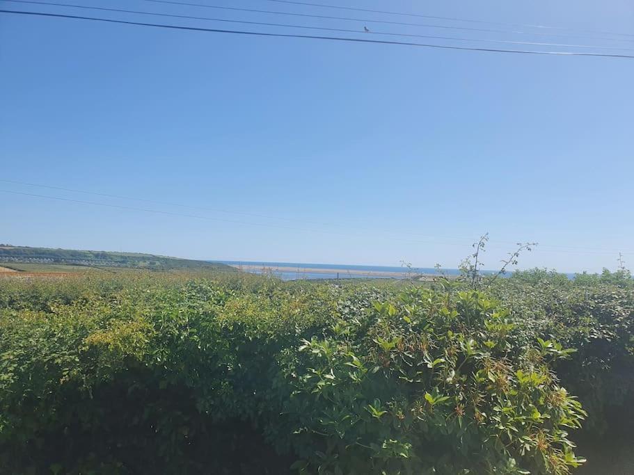 Holiday home Seaview Self Catering-fleetview